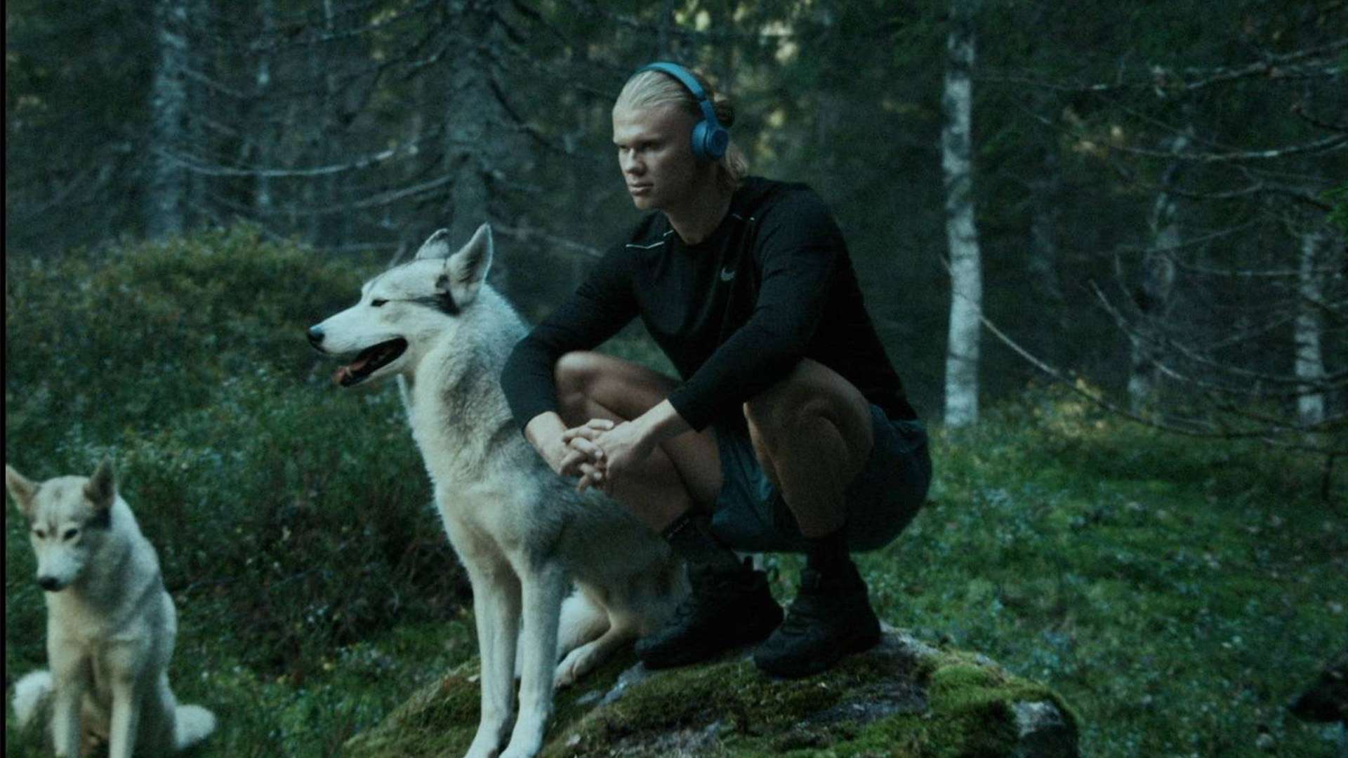 现出的高水 现出的高水