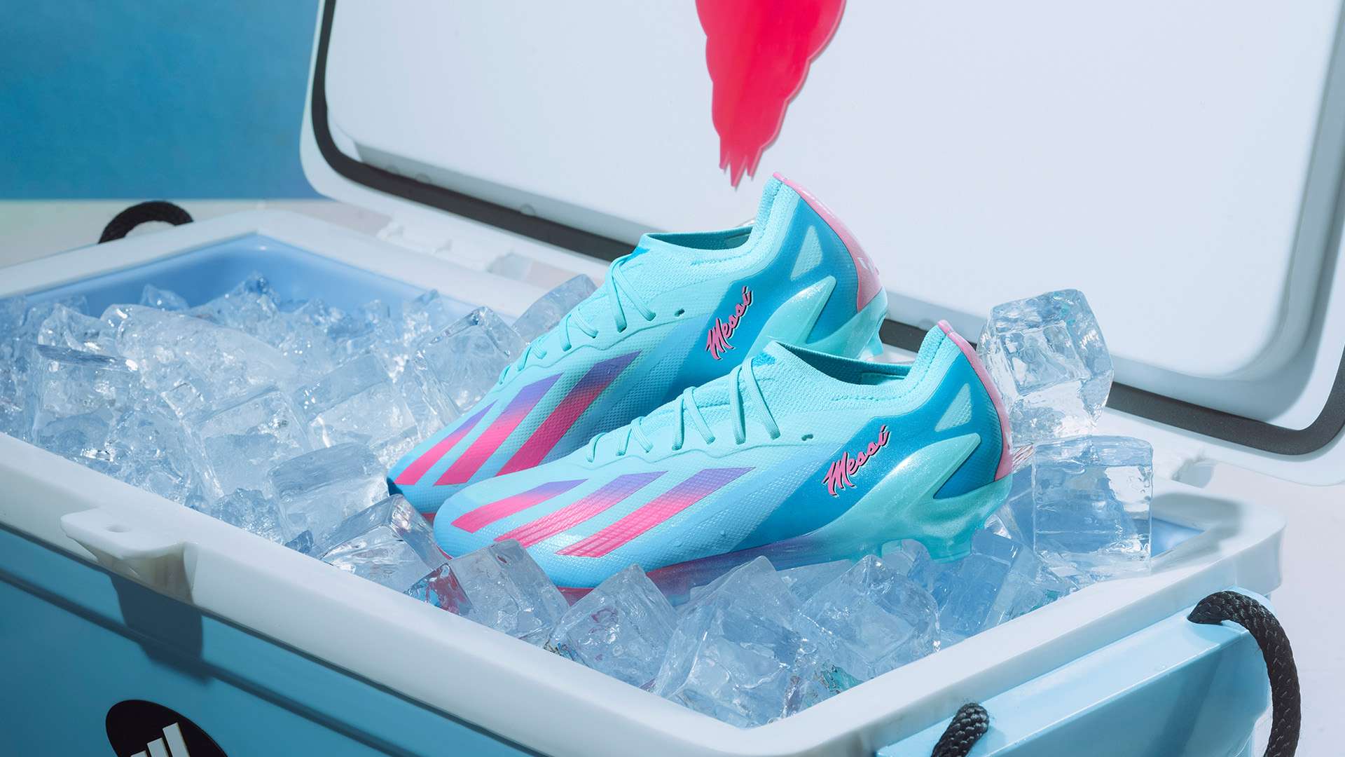 牌的国际知 牌的国际知