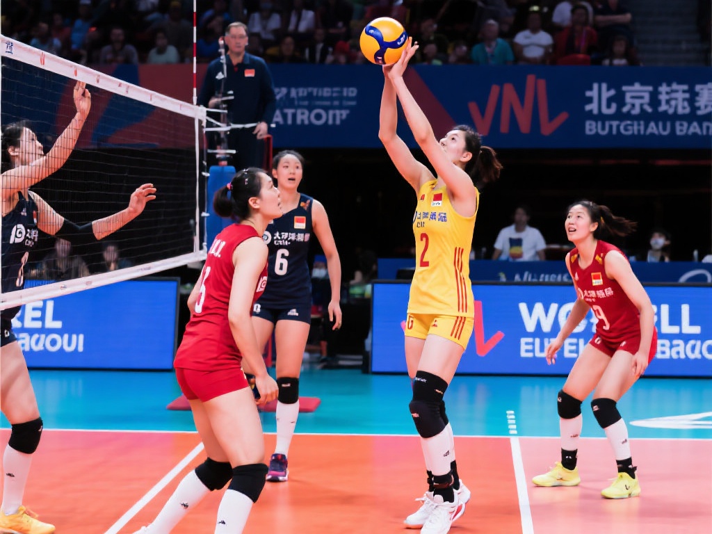 的最大希望 的最大希望